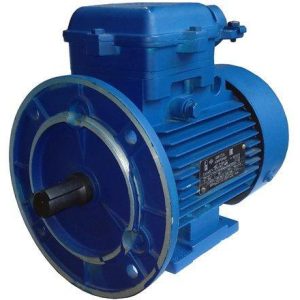 взрывозащищенный электродвигатель